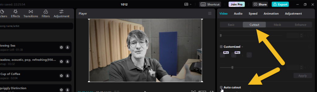 Cutout, Chroma key and Auto cutout