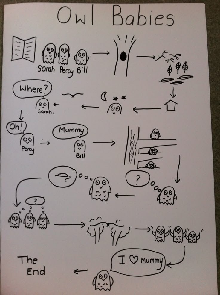 Owl Babies Talk for Writing Story map